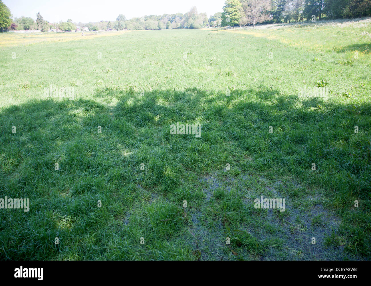 A winterbourne, a chalk valley feature of seasonal surface drainage, Orcheston, Wiltshire, England, UK Stock Photo
