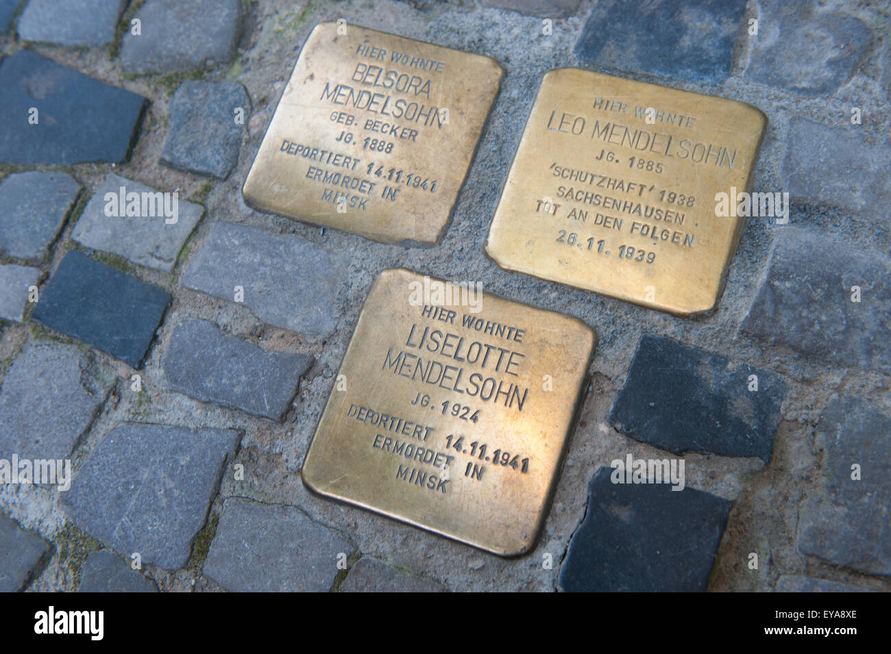 Berlin, Germany, the stumbling blocks in the Thomasiusstraße in Berlin-Moabit Stock Photo