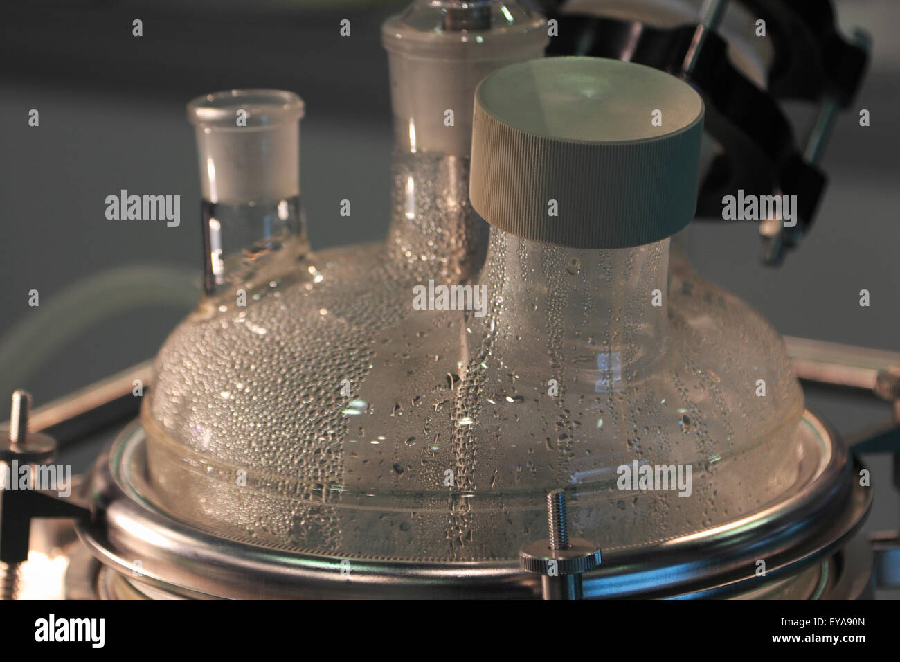 Upper part of laboratory glass chemical reactor Stock Photo Alamy