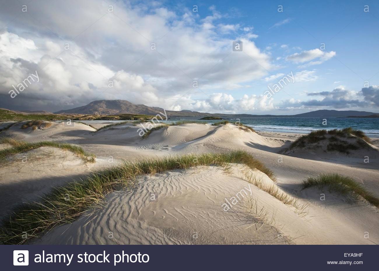 County Mayo, Ireland; Sand Dunes Near Silver Strand Beach ...