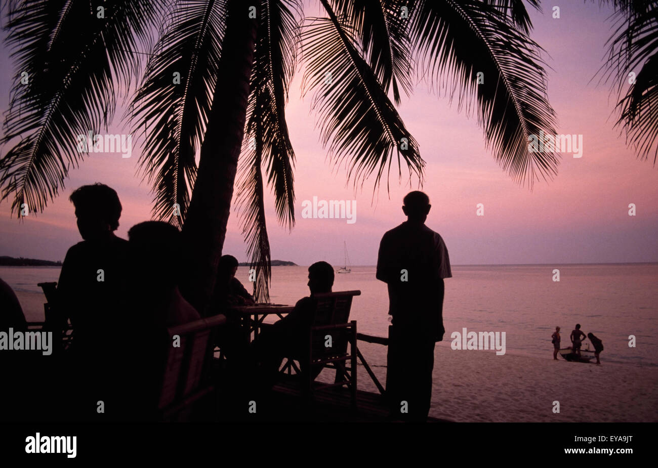 Silhouette Of People Relaxing Under Palm Tree At Dusk,Koh Samui ...