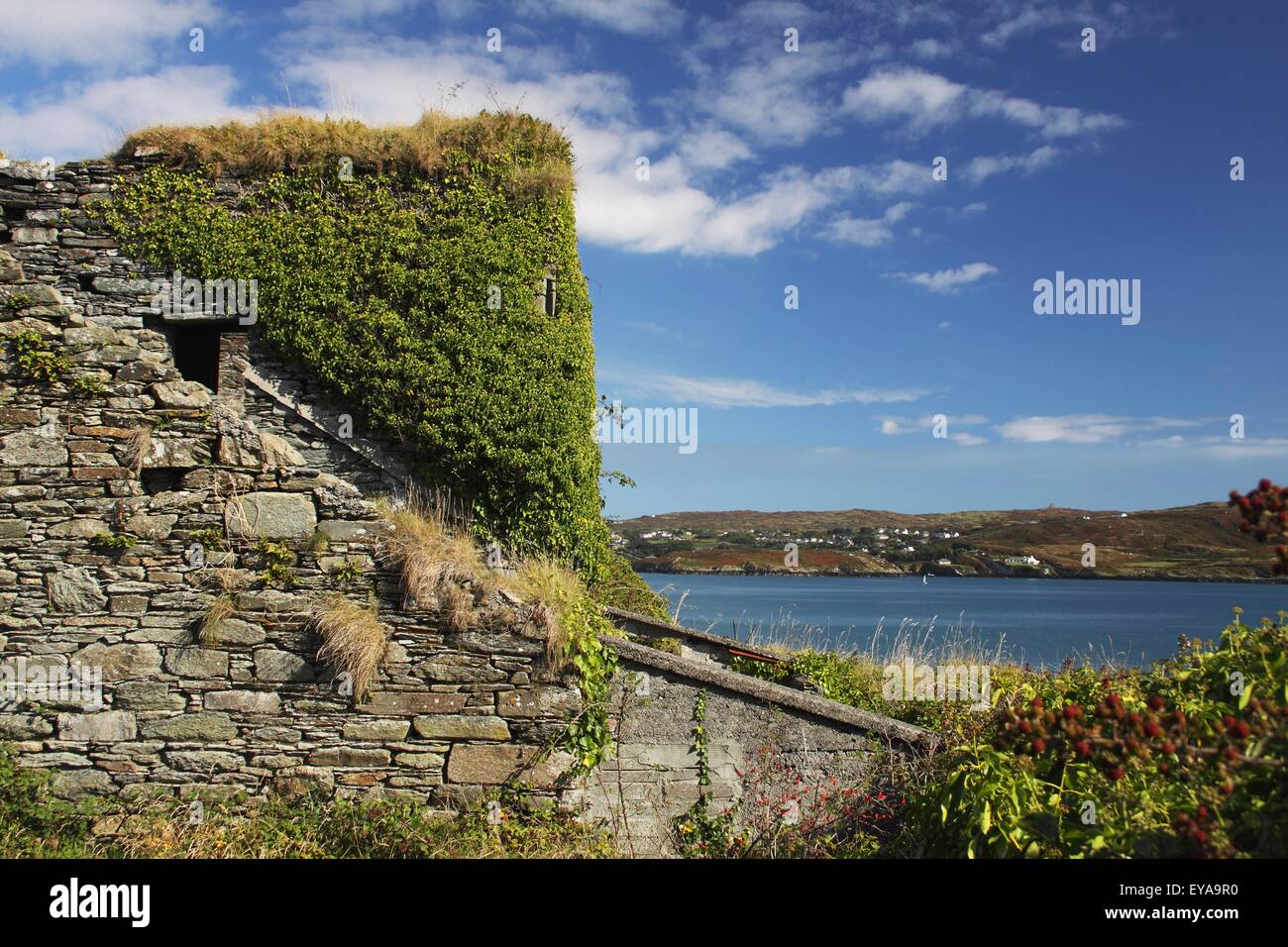 O'driscoll ireland hires stock photography and images Alamy