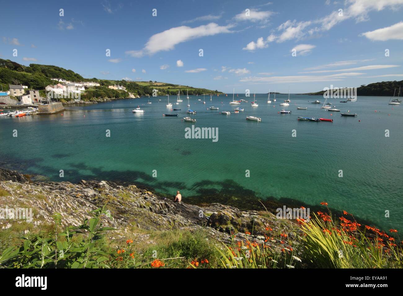Coastline co cork hi-res stock photography and images - Page 4 - Alamy