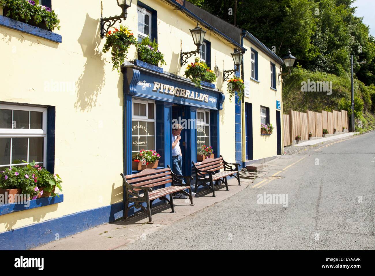 Exterior Of Fitzgeralds Pub; Avoca, County Wicklow, Ireland Stock Photo