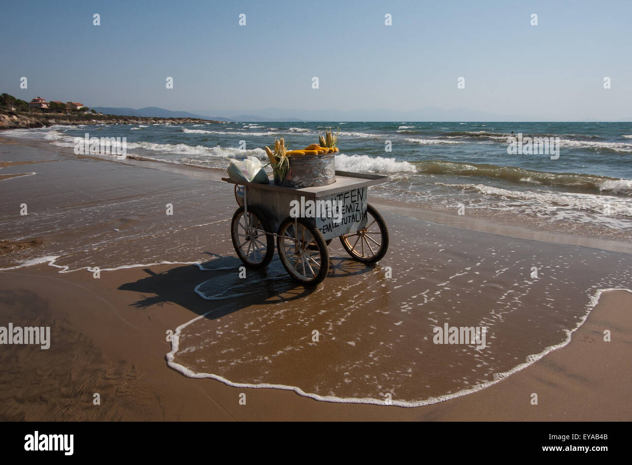 1,519 en la categoría «Beach food cart» de imágenes, fotos de