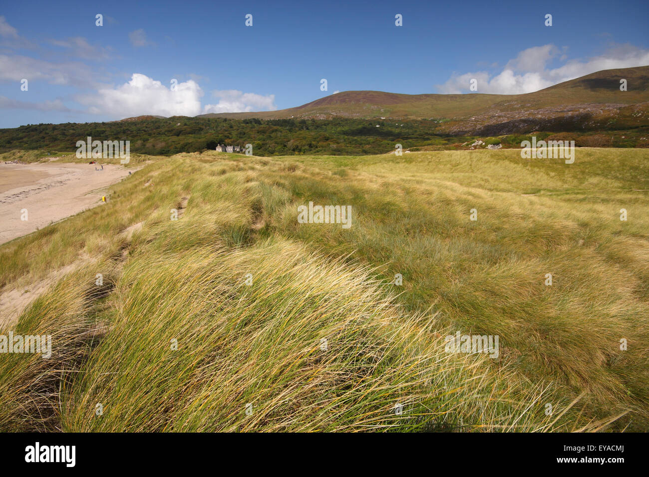 Derrynane House And Beach In The National Historic Park On The Ring Of