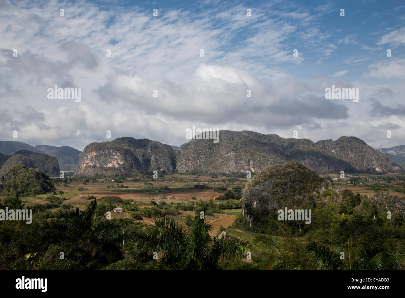 View of Vinales Valley Cuba Stock Photo