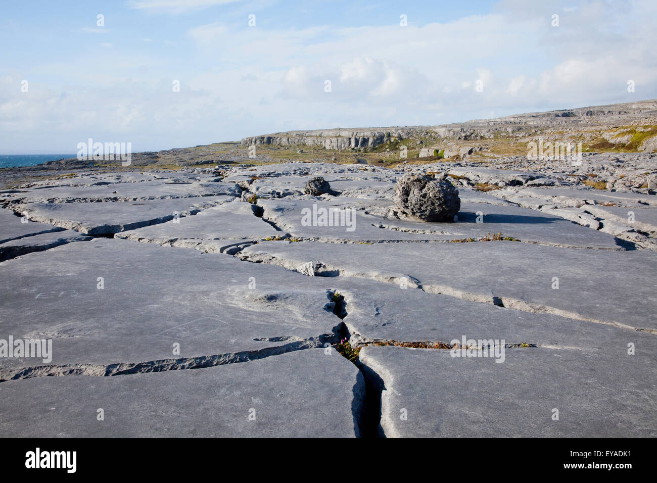 Cracks in rock hi-res stock photography and images - Alamy