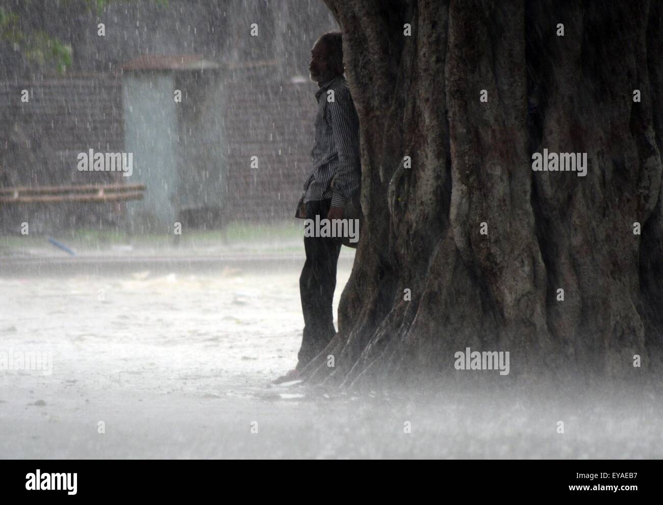 Allahabad, Uttar Pradesh, India. 25th July, 2015. Allahabad: A devotee stand under a tree for being safe from rain in Allahabad on 25-07-2015. photo by prabhat kumar verma (Credit Image: © via ZUMA Wire) Credit:  ZUMA Press, Inc./Alamy Live News Stock Photo
