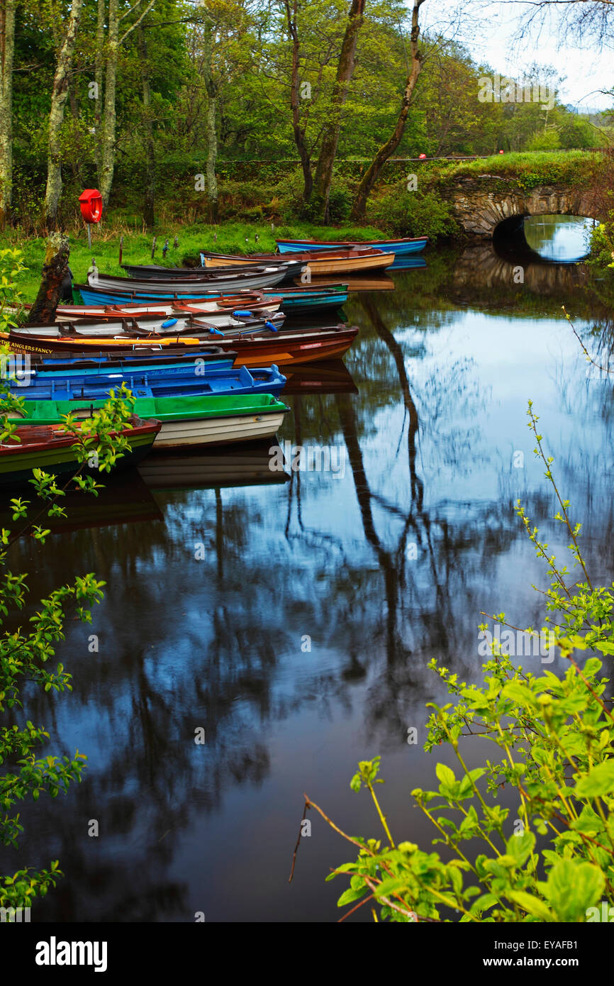 Canoes In Various Colours Lined Up Along The Shore; Ireland Stock Photo