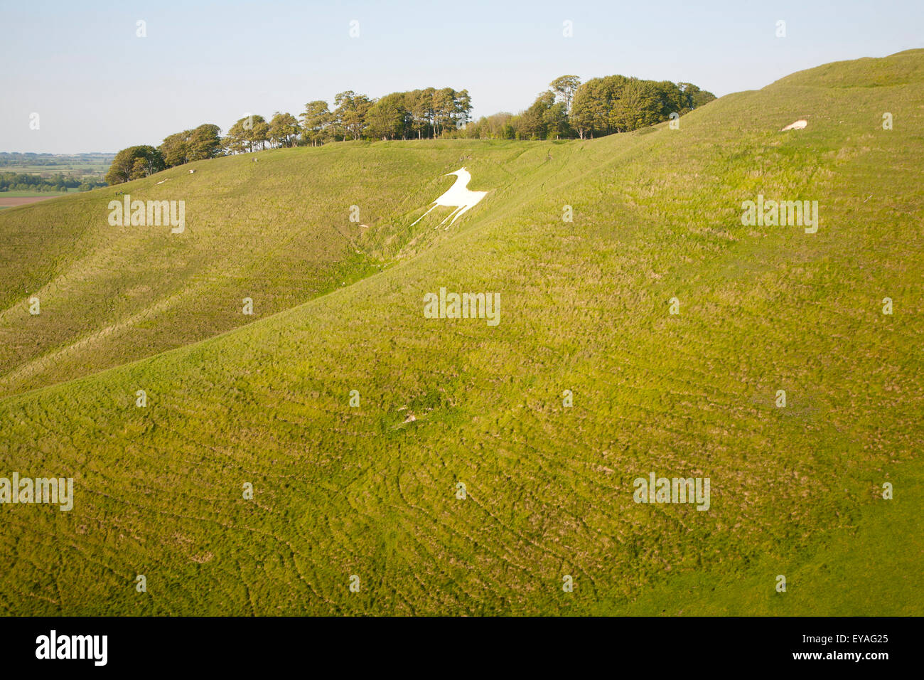 Chalk figure of white horse carved into hillside hires stock