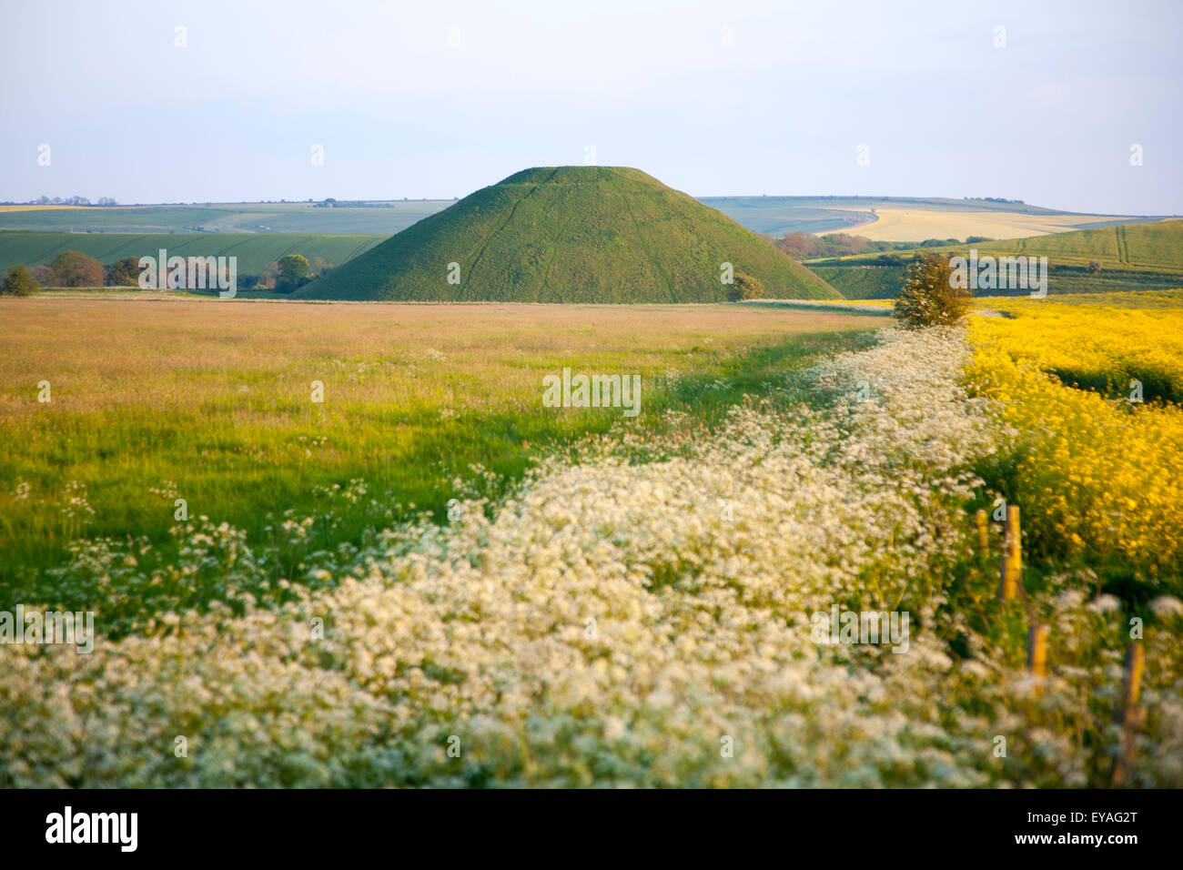 Silbury Hill prehistoric site, near Avebury, Wiltshire, England, UK is the largest man made mound in Europe. Stock Photo