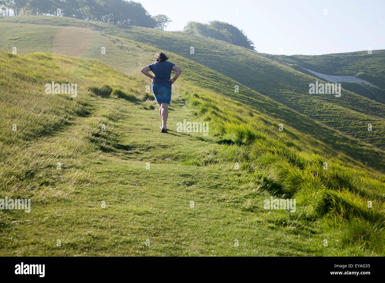 Woman walking up steep chalk scarp slope onto downland Cherhill, Wiltshire, England, UK Stock Photo