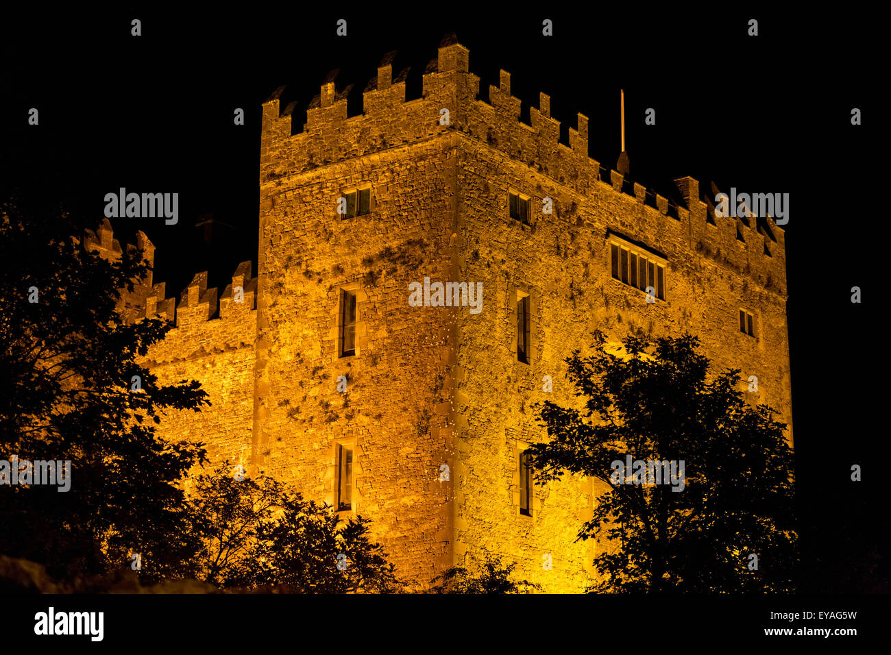 Night lights illuminating Bunratty Castle with silhouetted trees and black sky; Bunratty, County Clare, Ireland Stock Photo
