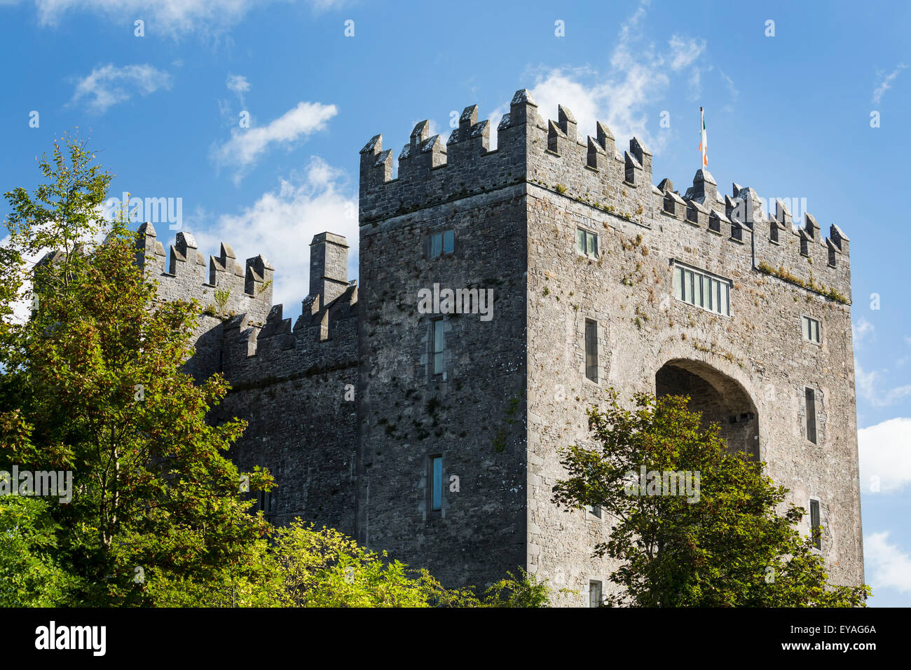 Stone castle with trees, blue sky and clouds; Bunratty, County Clare, Ireland Stock Photo
