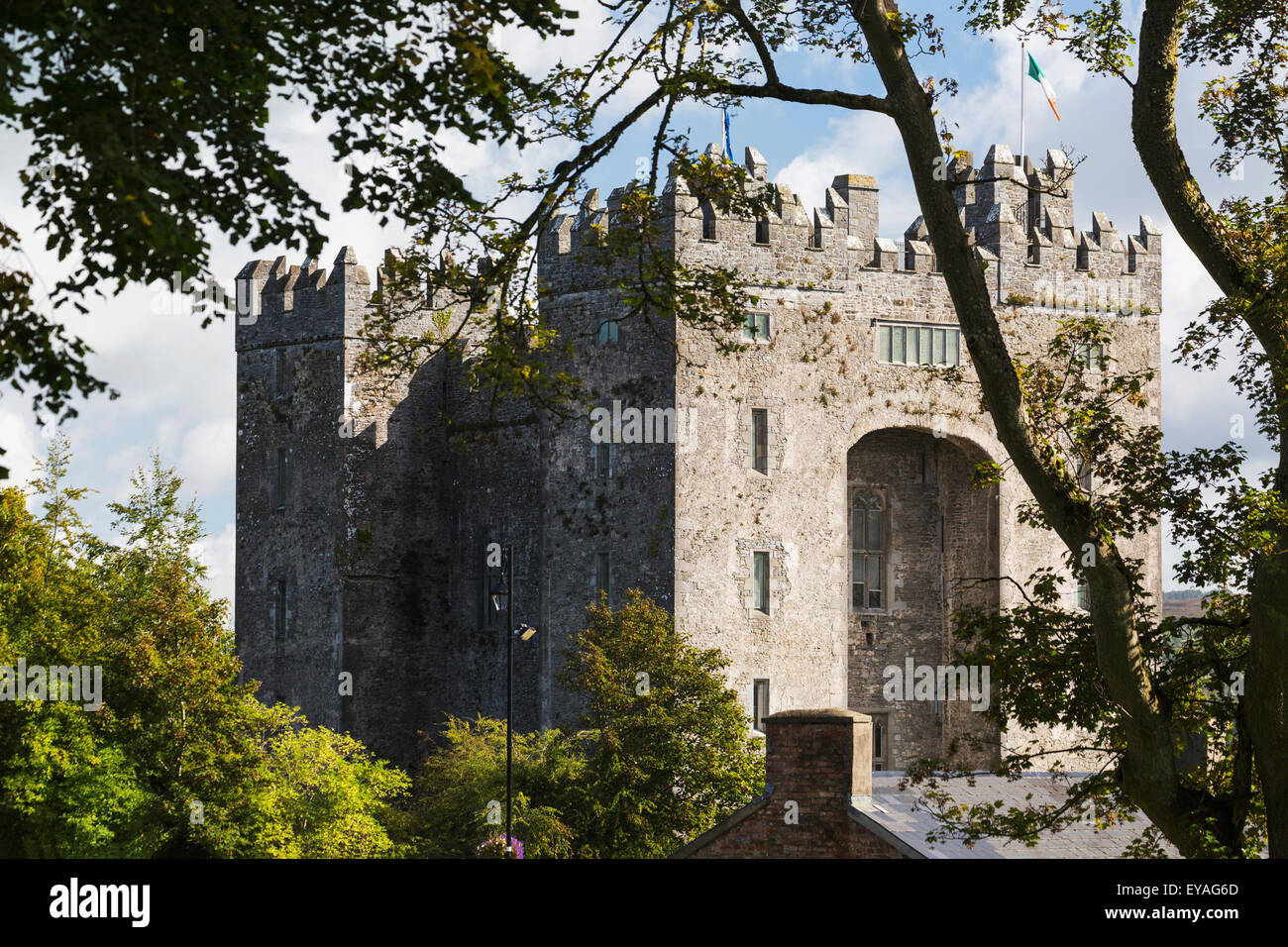 Stone castle framed within trees with clouds and blue sky; Bunratty, County Clare, Ireland Stock Photo