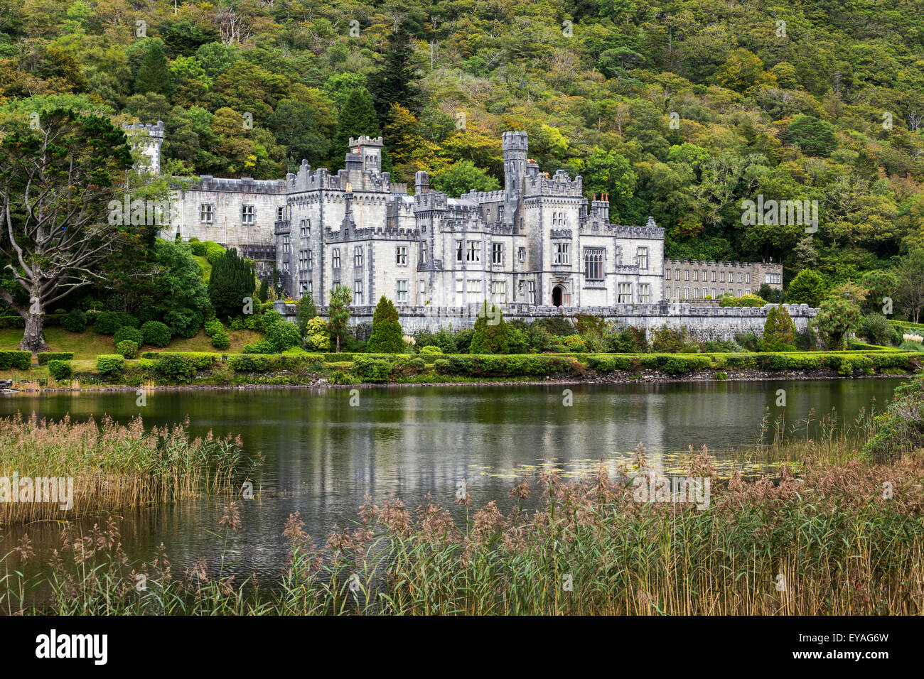 Stone castle reflecting in lake with treed hillside; County Galway