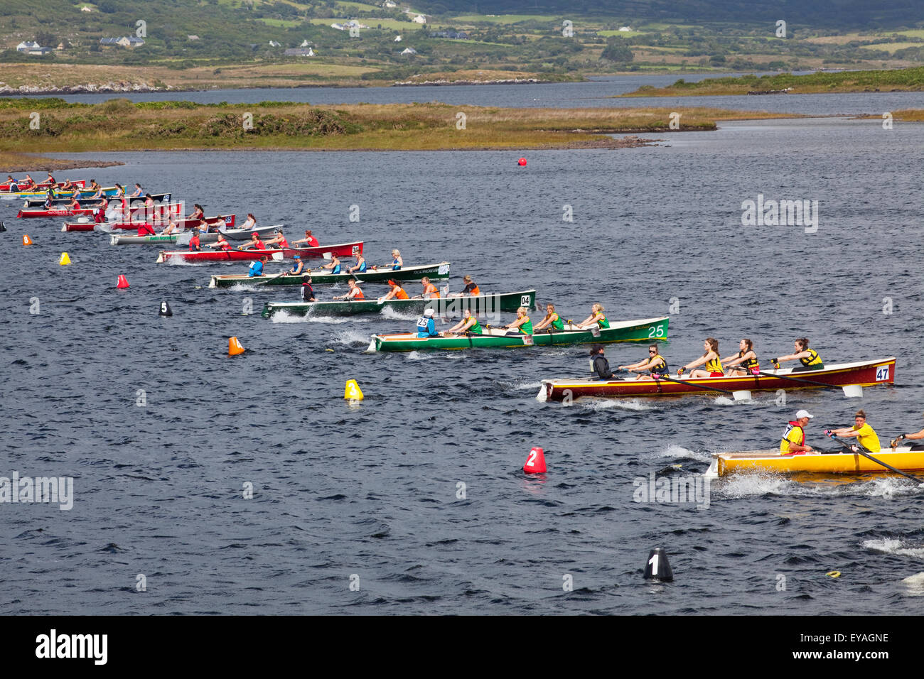 Boats lined up for the All Ireland Rowing Championships; Waterville, County Kerry, Ireland Stock Photo