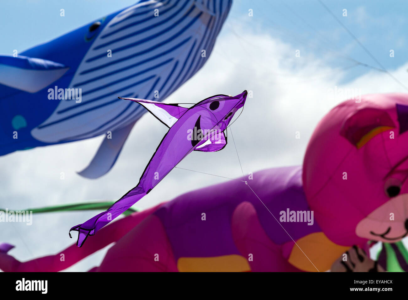 Shark teddy bear whale st hires stock photography and images Alamy