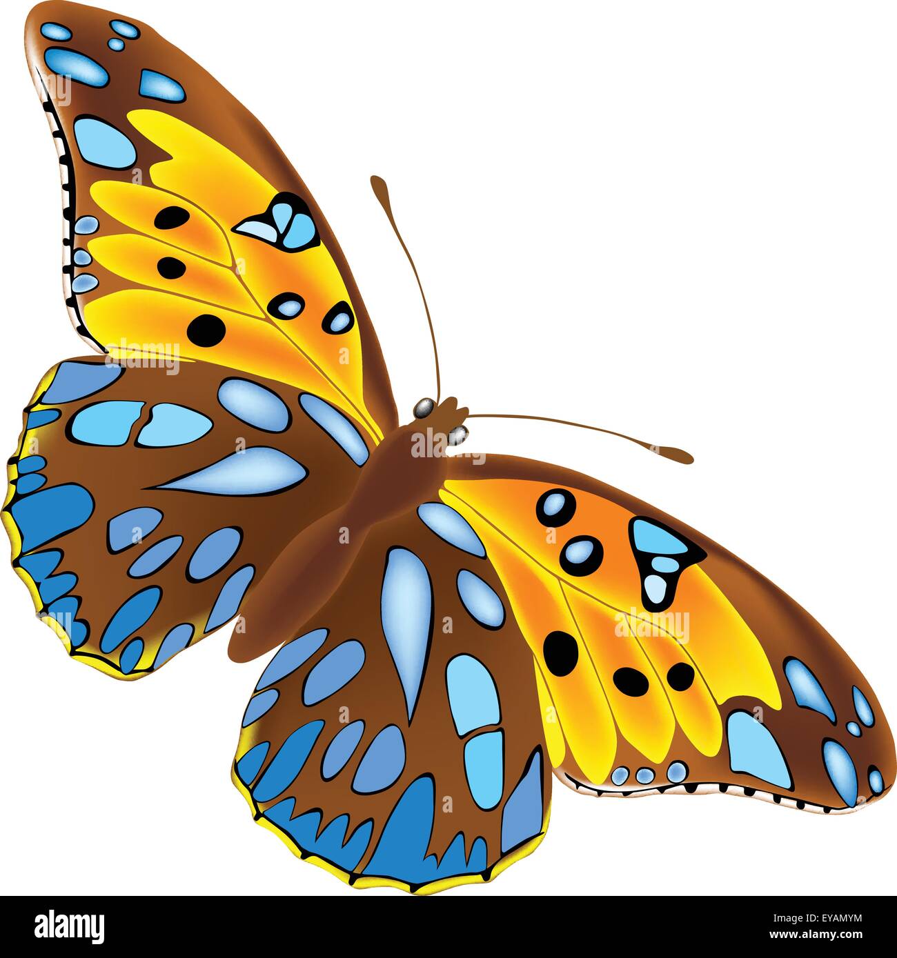 Full detailed brown butterfly with blue spots Stock Vector Image & Art