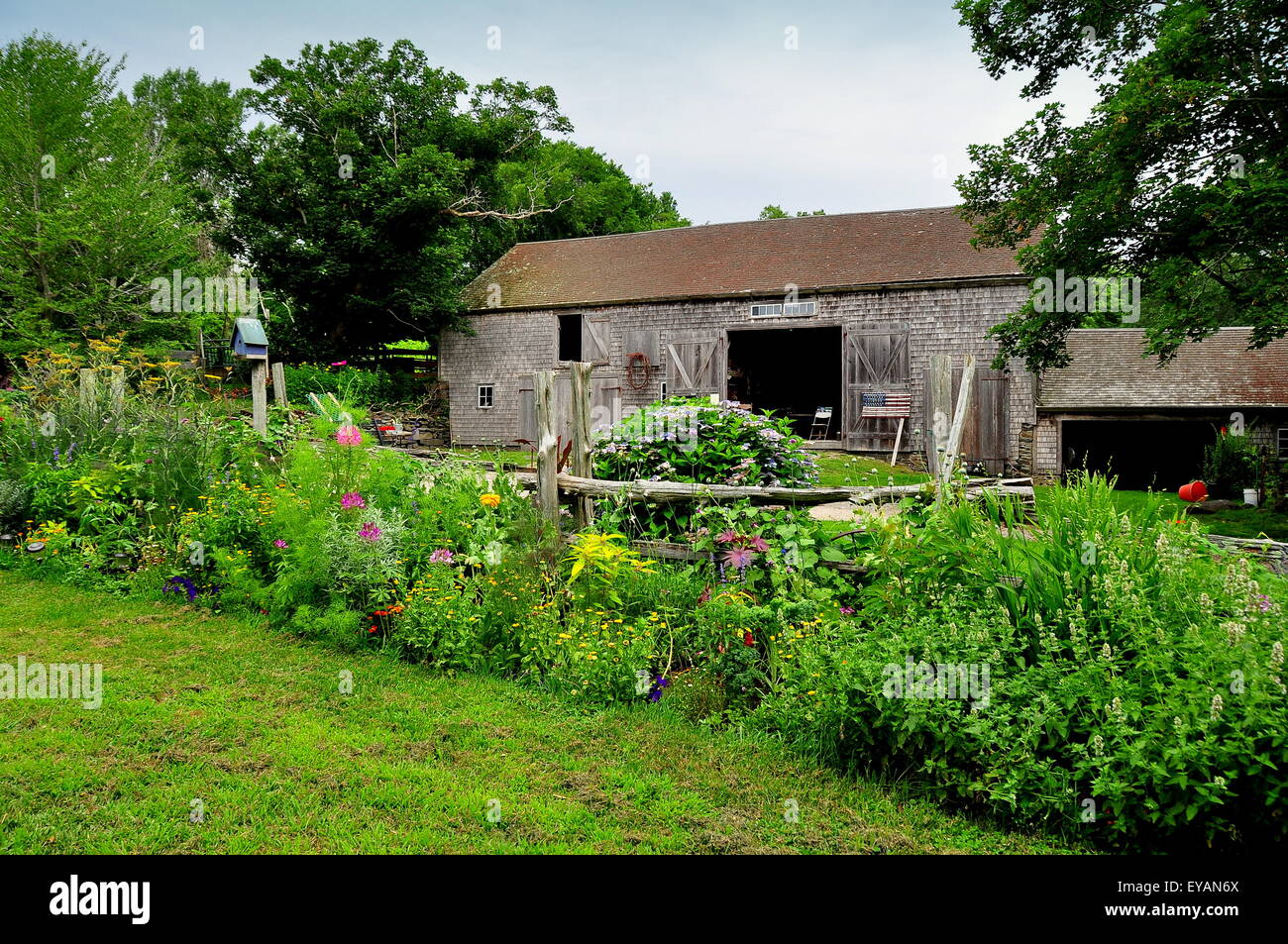 Jamestown, Rhode Island:  Wooden shingled barn and flower garden at the 1796 Watson Farm on Conanicut Island * Stock Photo