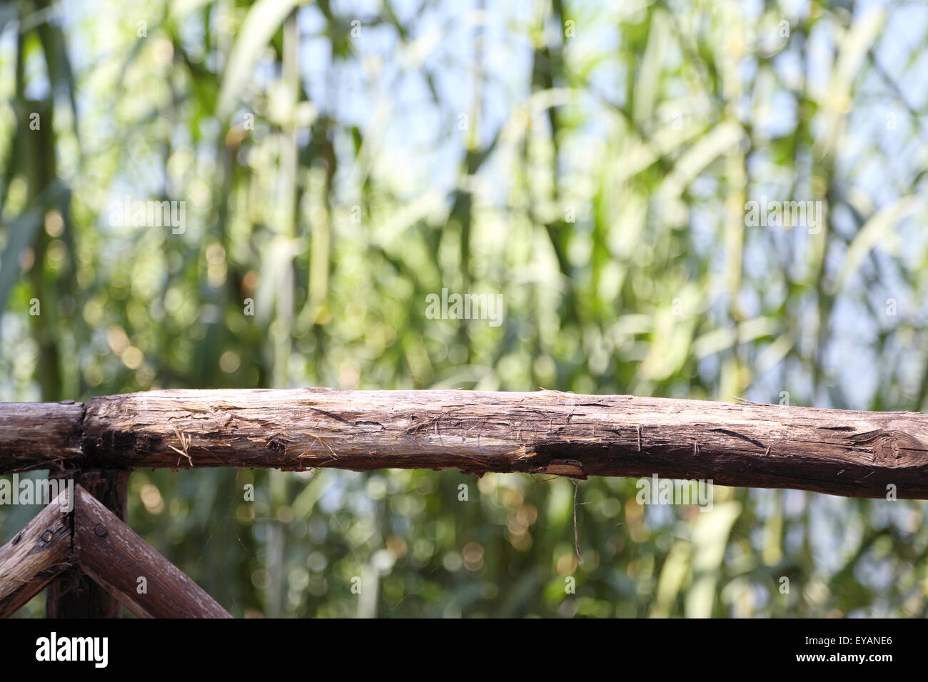 Fence on the shore of a lake with blurred background Stock Photo - Alamy