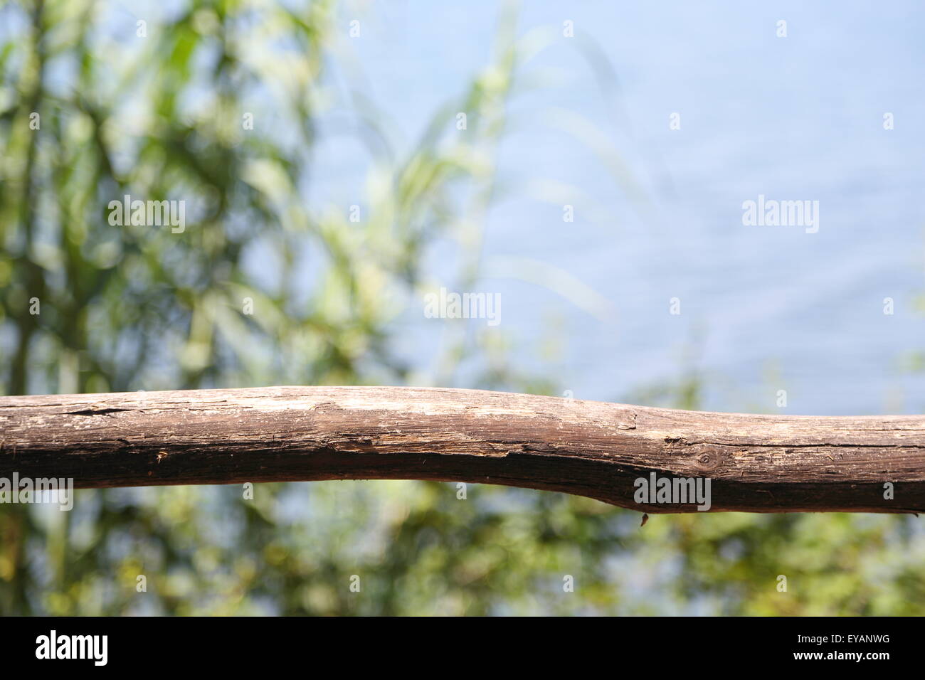 Fence on the shore of a lake with blurred background Stock Photo - Alamy