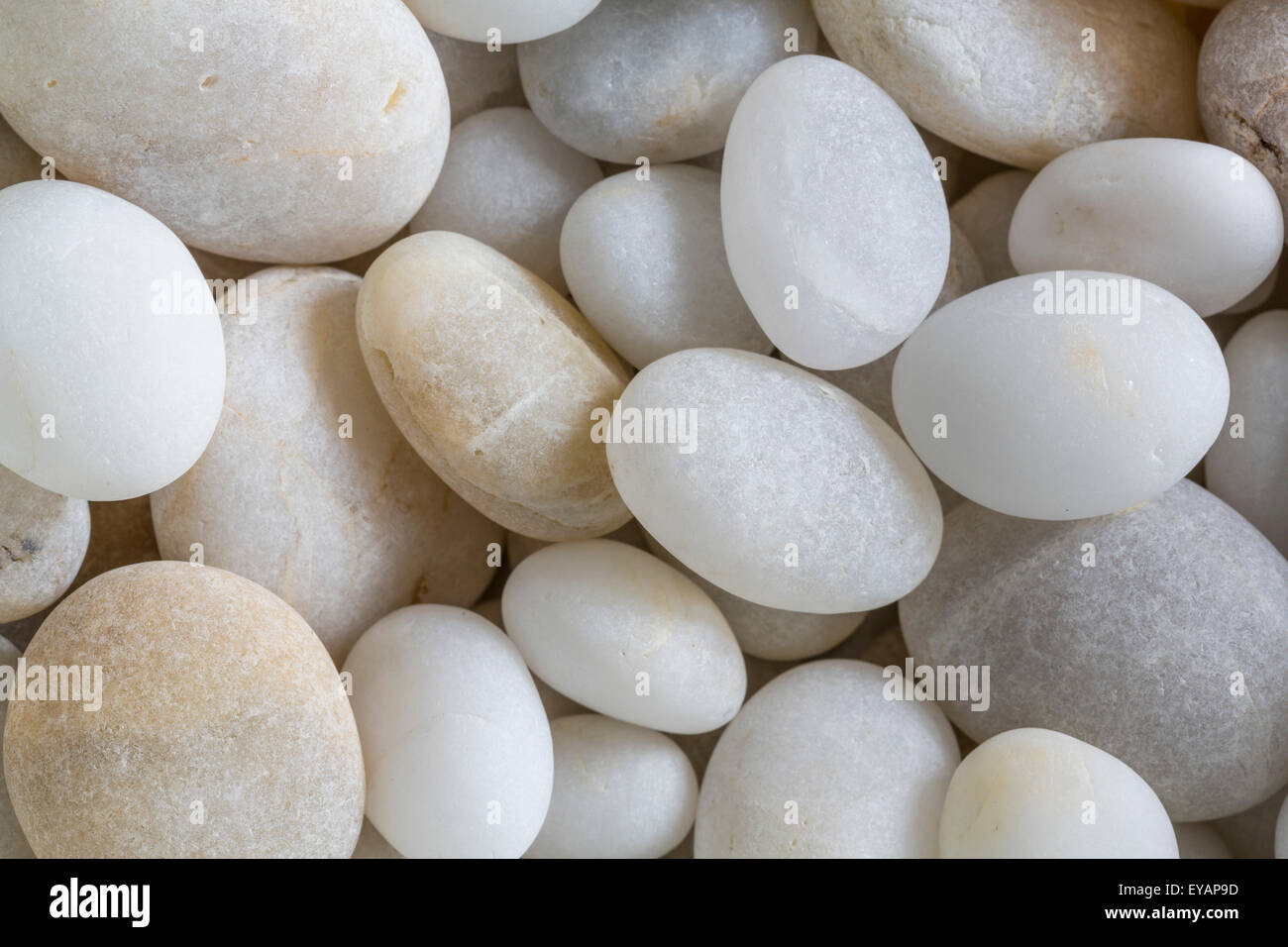 Polished, white beach rocks Stock Photo Alamy