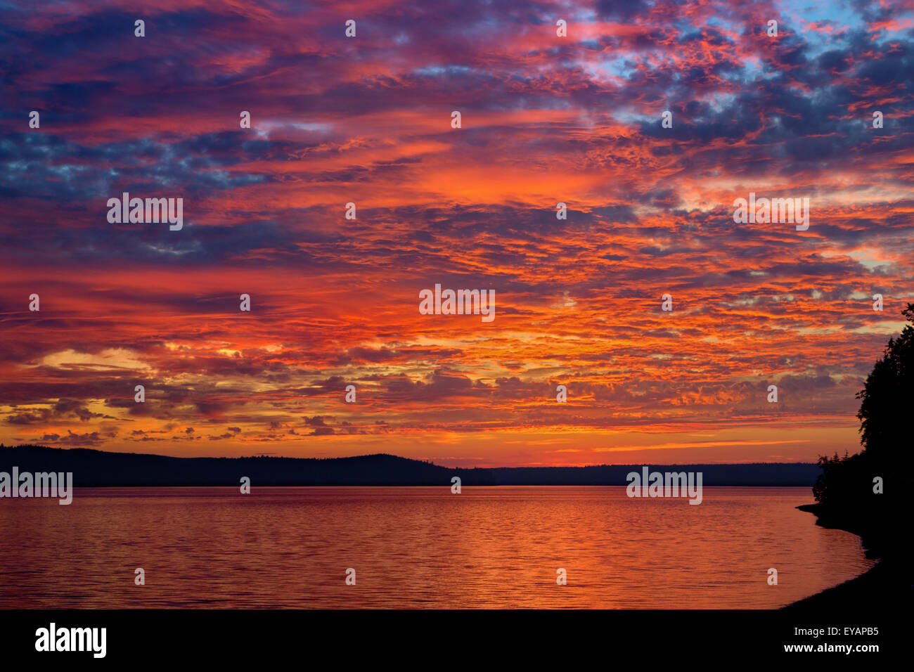 Hood canal hires stock photography and images Alamy