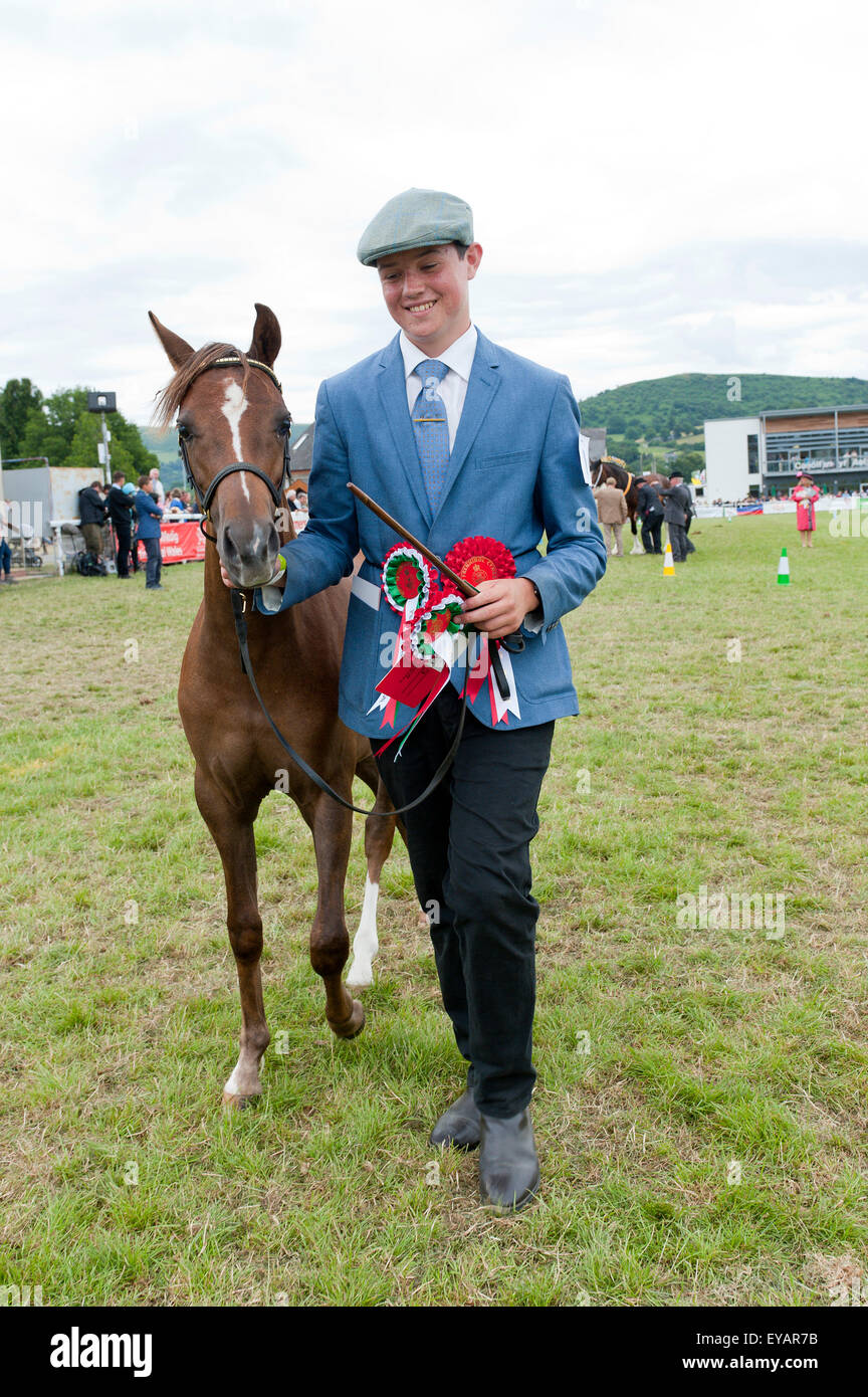 Shire horse with handler hires stock photography and images Alamy
