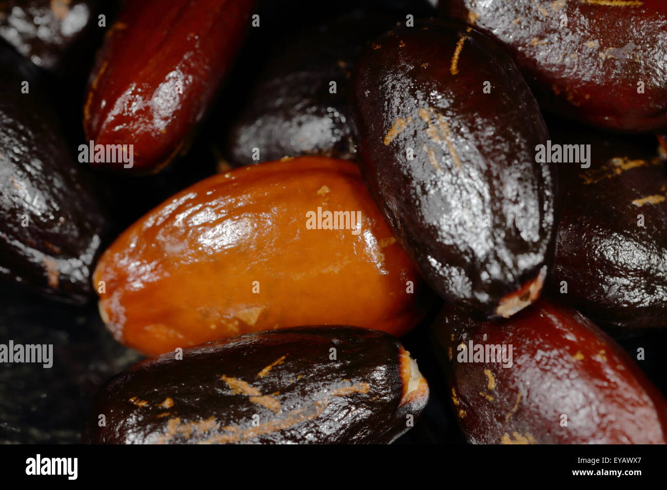 Close up of custard apple seeds Stock Photo