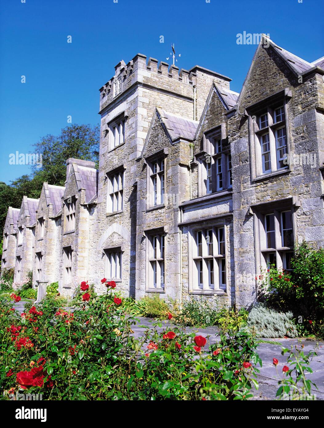 Mallow Castle, Mallow, Co Cork, Ireland; Irish Castle Built In 1689