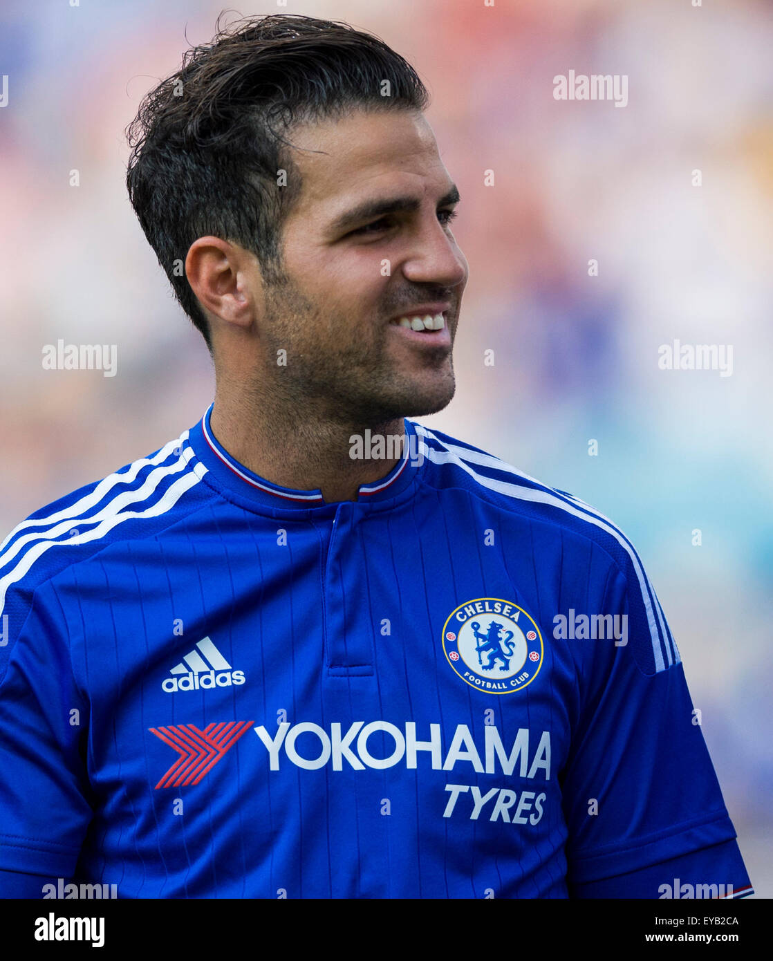 Cesc fabregas chelsea fc hi-res stock photography and images - Alamy
