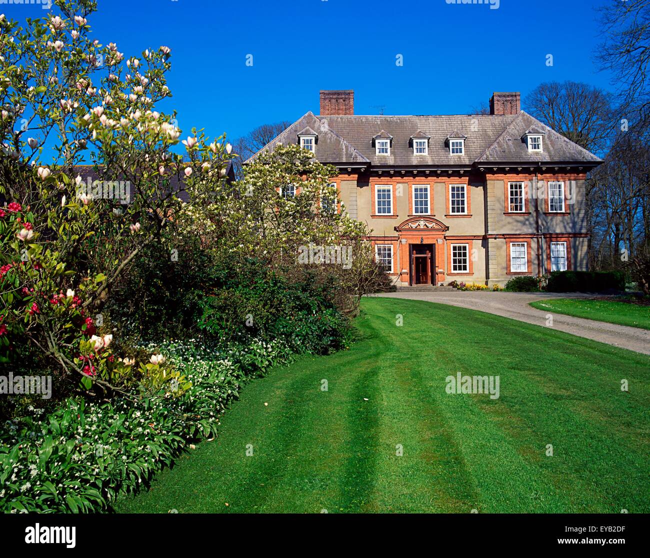 Beaulieu House And Gardens, Drogheda, Co Louth, Ireland; Magnolia Trees Near A 17Th Century House Stock Photo