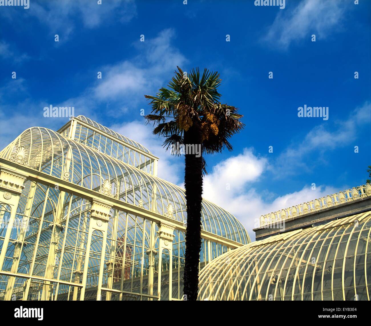 Palm House, Irish National Botanic Gardens, Glasnevin, Co Dublin