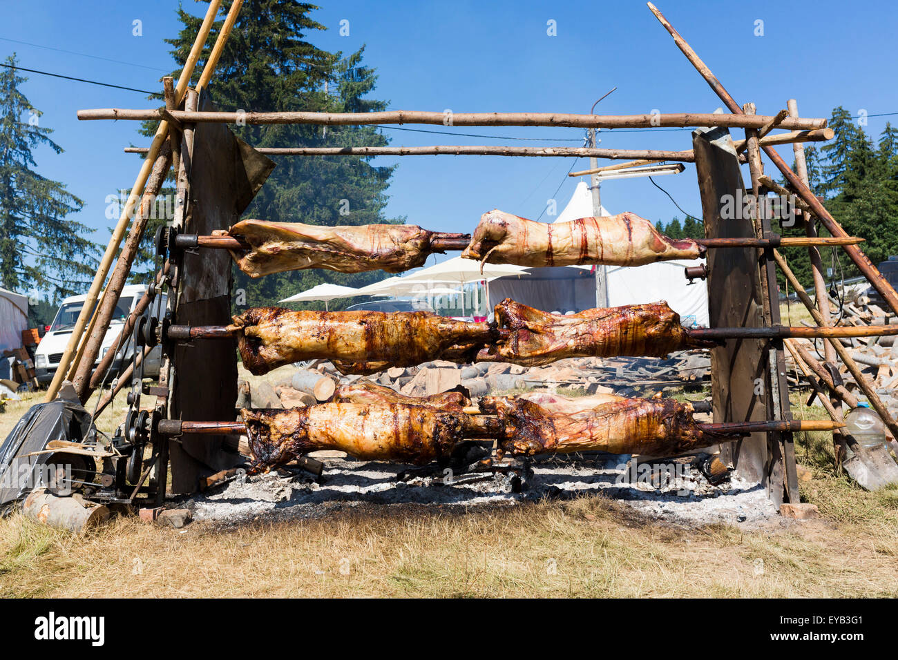 Traditional Bulgarian roasting lamb barbecue. It is roasted meat over an open fire, cooked in a