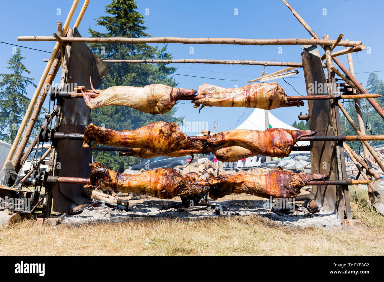 Lamb cooking over open fire hires stock photography and images Alamy