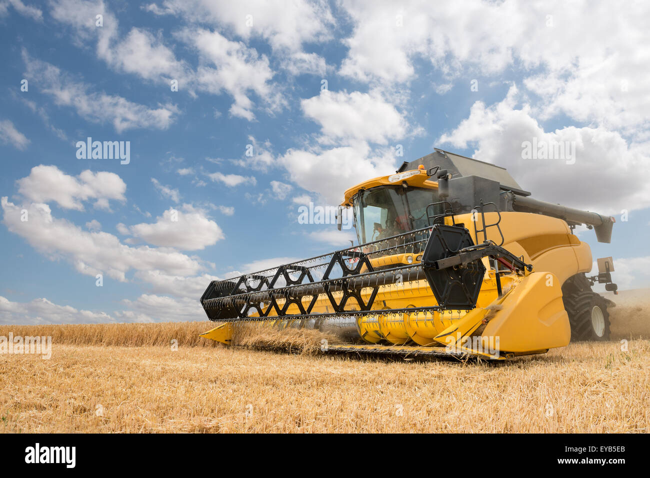 close view of modern combine harvester in action. Stock Photo