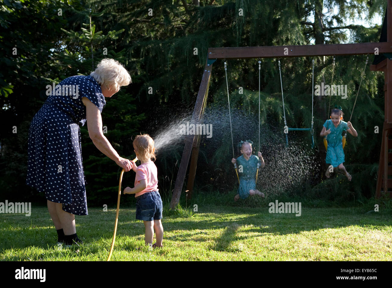 Family playing in garden with water hose in summer Stock Photo Alamy