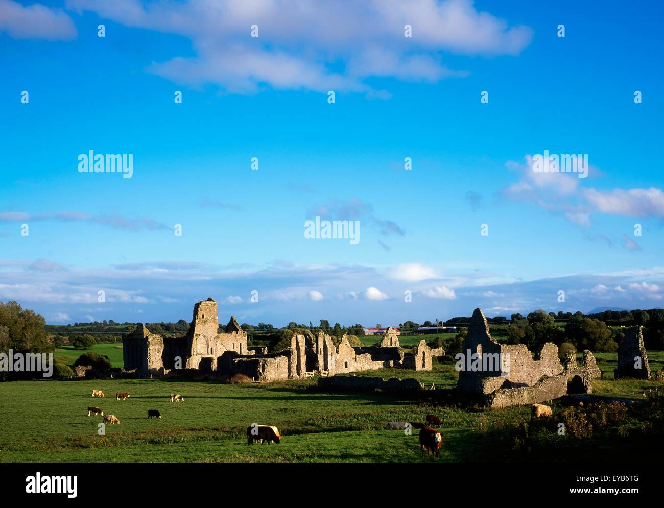 Athassel Priory, Co Tipperary, Ireland; Augustinian Medieval Priory Stock Photo