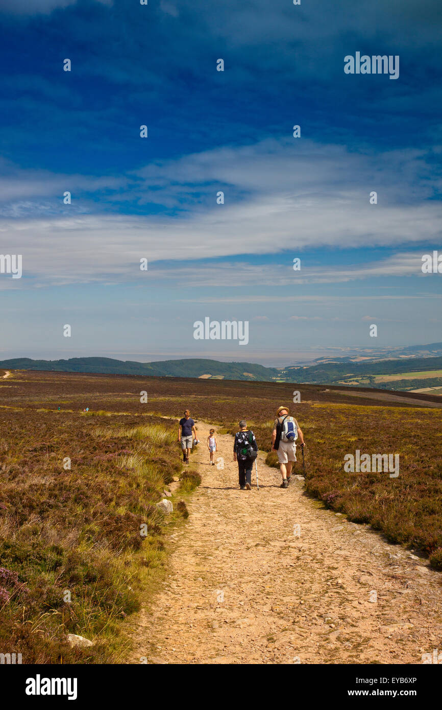 Walkers on the path to the summit of Dunkery Beacon (1,705ft) - the highest point of Exmoor and Somerset, England, UK Stock Photo