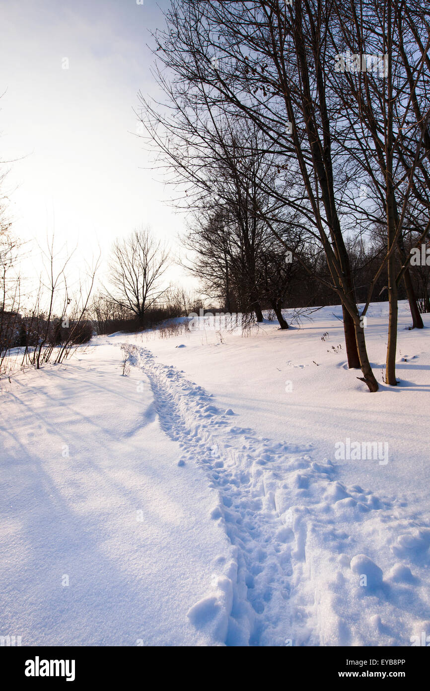 traces on snow Stock Photo - Alamy
