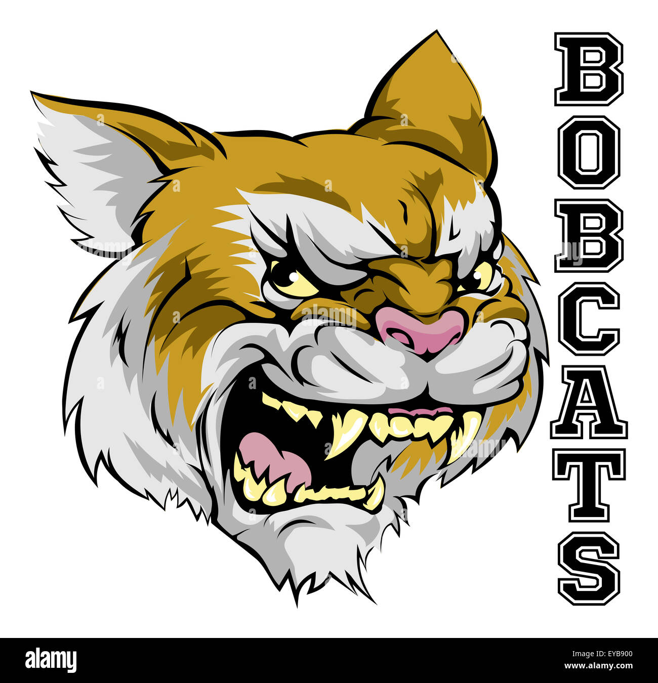 An illustration of a cartoon bobcat sports team mascot with the text Bobcats  Stock Photo - Alamy
