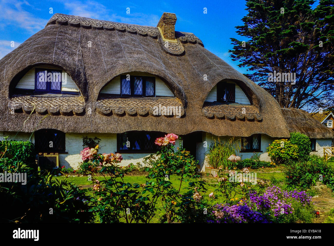 Thatched cottage. West Sussex . England. UK Stock Photo Alamy