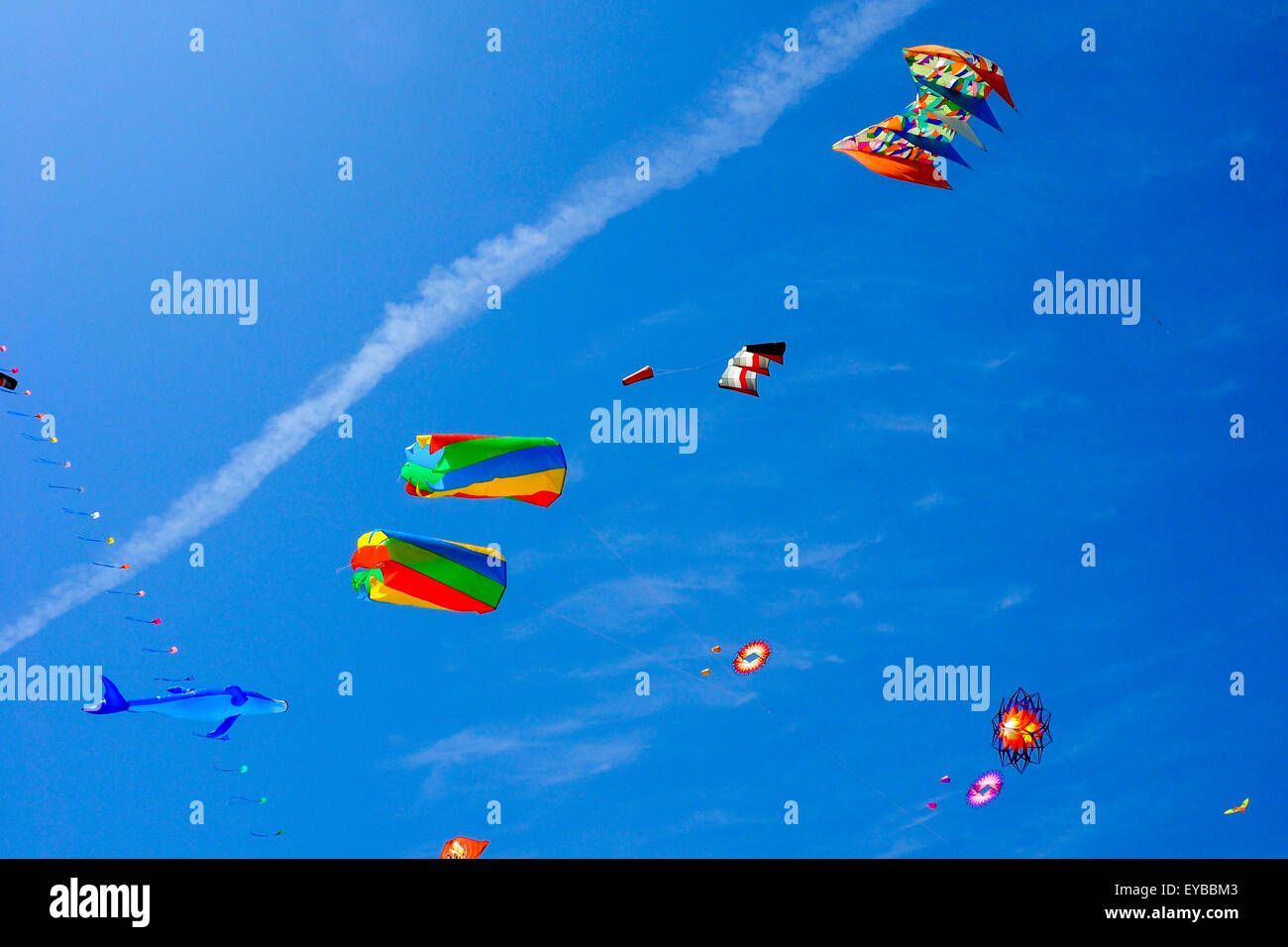 Colourful and animal shaped kites flying Stock Photo Alamy