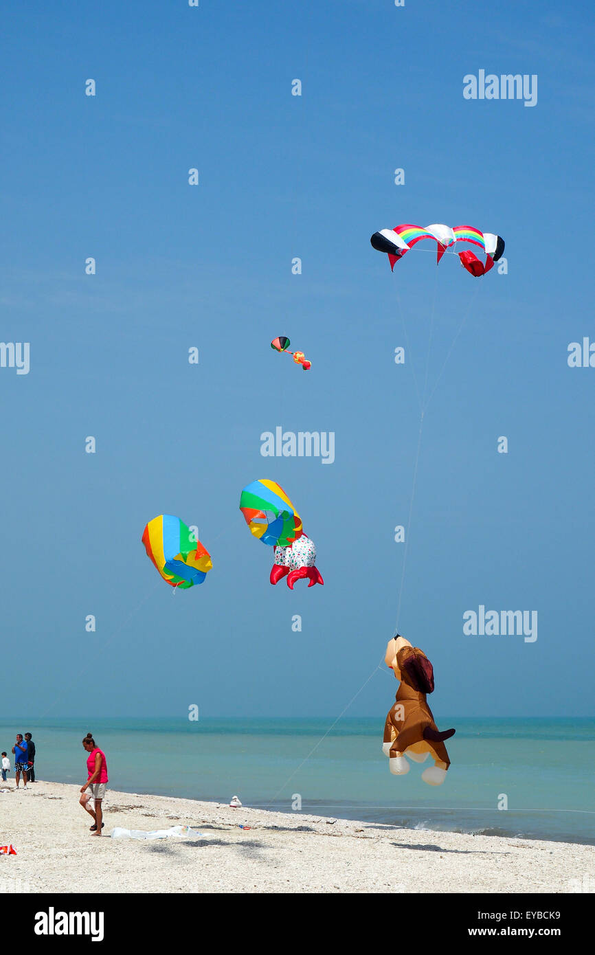 Colourful and animal shaped kites flying over a beach Stock Photo Alamy
