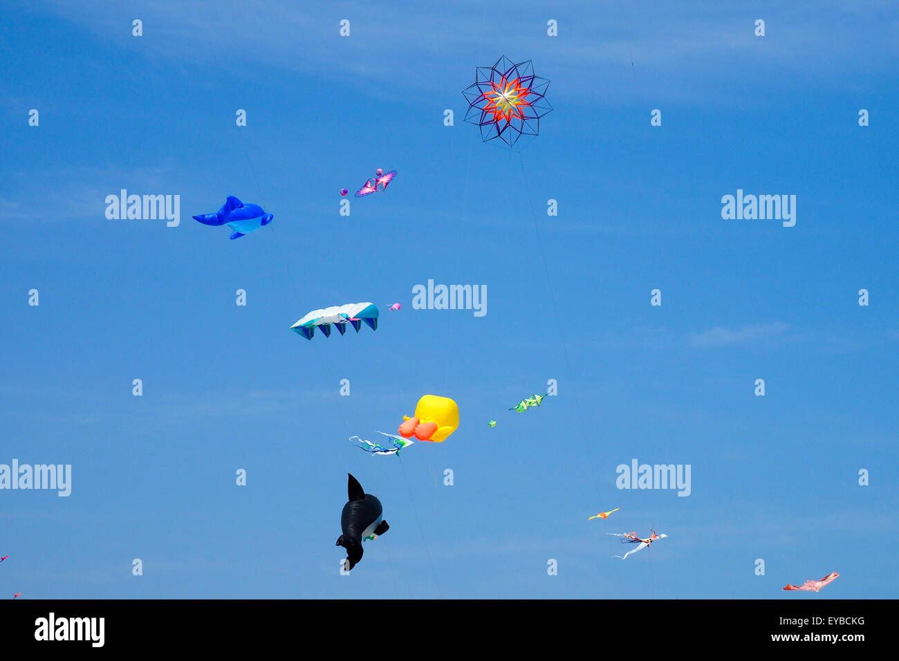 Colourful and animal shaped kites flying Stock Photo Alamy