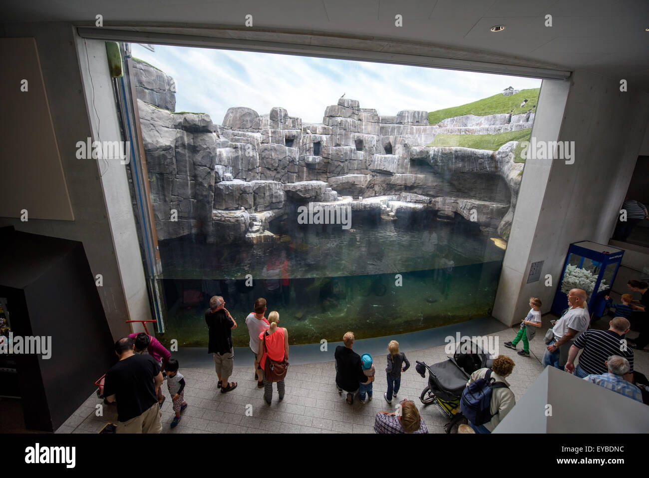 Copenhagen, Denmark. 13th July, 2015. Visitors and guests in the zoo in ...