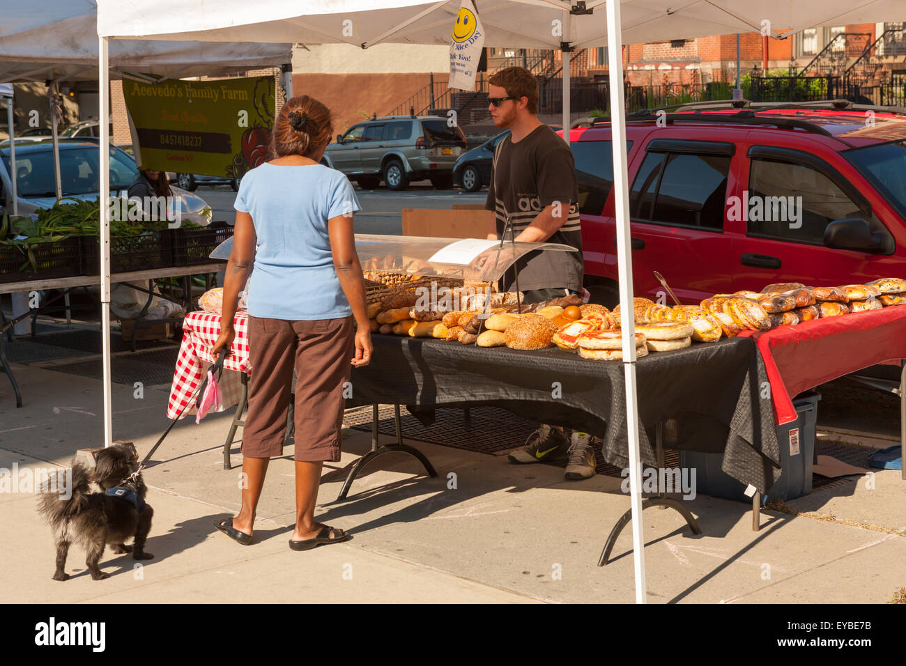 A woman with her dog looks at baked goods at the Sugar Hill Greenmarket in New York City. Stock Photo