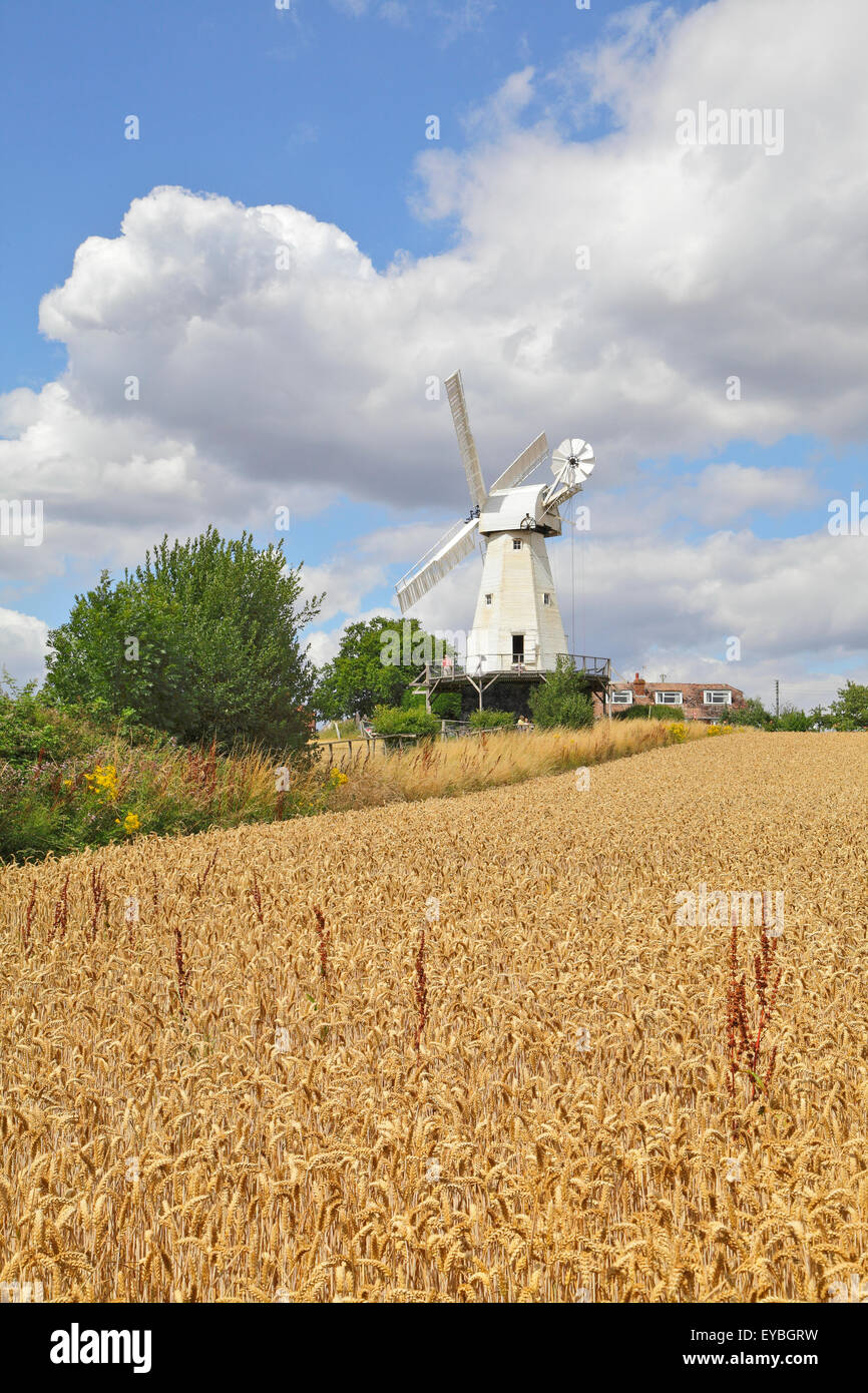 Woodchurch Windmill at Harvest Time, Kent, England, UK Stock Photo